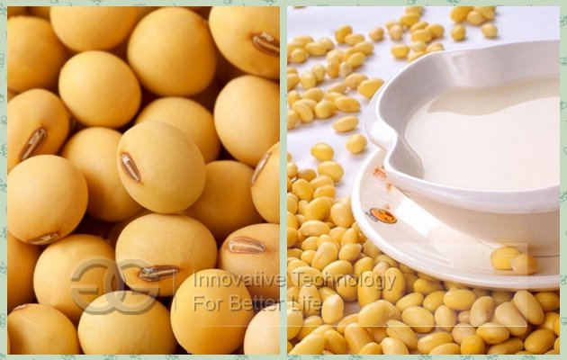 Soybean Milk 